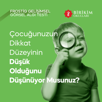 Frostig Testi